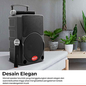 Baretone MAX10C 10 inch Portable Wireless Speaker